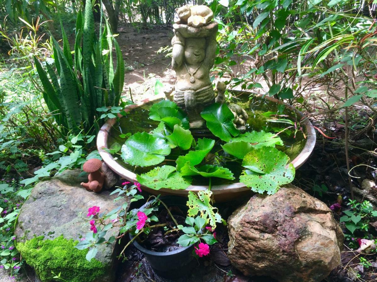 Bueng Pai Farm บึงปายฟาร์ม Villa Ngoại thất bức ảnh